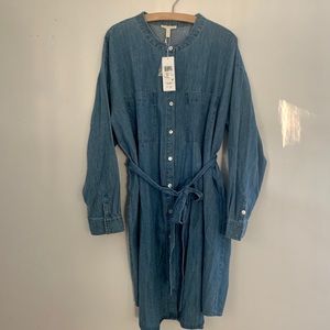 Eileen Fisher Organic Denim Dress